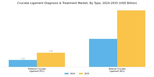 Cruciate Ligament Diagnosis Treatment Segment Image 0
