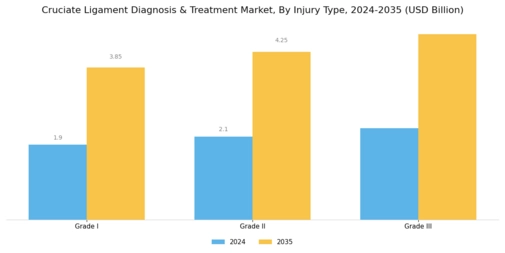 Cruciate Ligament Diagnosis Treatment Segment Image 1