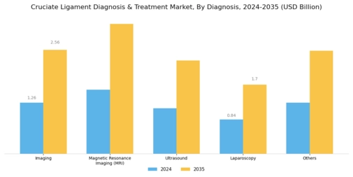 Cruciate Ligament Diagnosis Treatment Segment Image 4