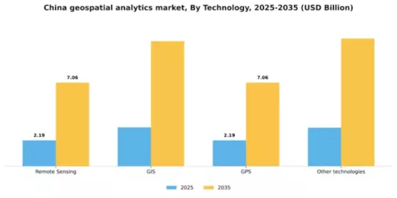 China Geospatial Analytics Market Segment Image 1