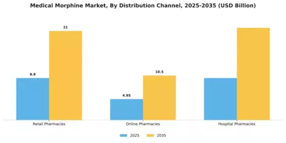 Medical Morphine Market Segment Image 1