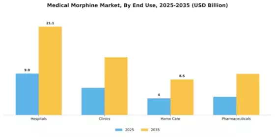 Medical Morphine Market Segment Image 2