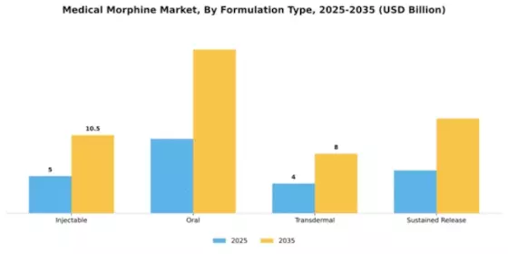 Medical Morphine Market Segment Image 3