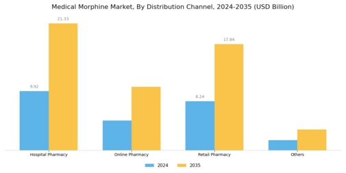 Medical Morphine Market Segment Image 1