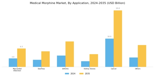 Medical Morphine Market Segment Image 2