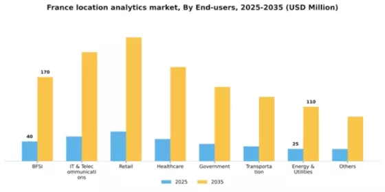 France Location Analytics Market Segment Image 3
