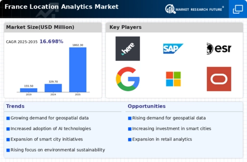 France Location Analytics Market Infographic