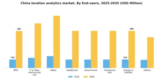 China Location Analytics Market Segment Image 3