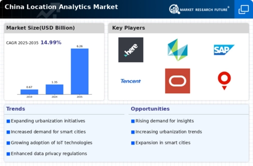 China Location Analytics Market Infographic