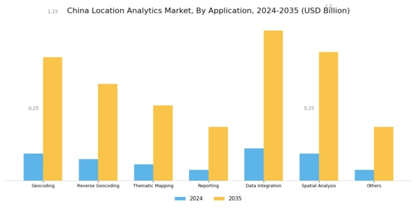 China Location Analytics Market Segment Image 1