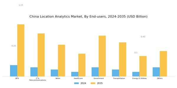 China Location Analytics Market Segment Image 3