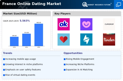France Online Dating Market Infographic
