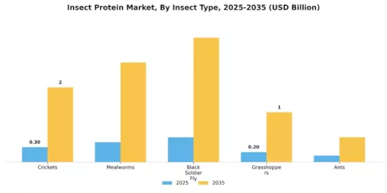 Insect Protein Market Segment Image 3