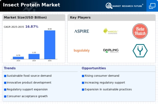 Insect Protein Market Infographic