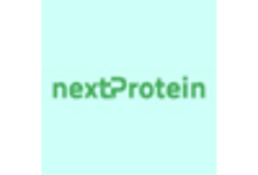 Insect Protein Market key player