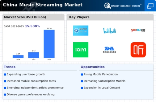 China Music Streaming Market Infographic