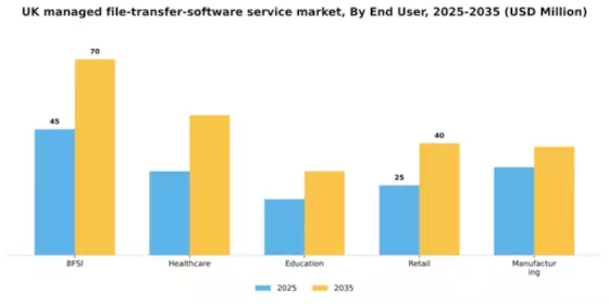 UK Managed File Transfer Software Service Market Segment Image 1