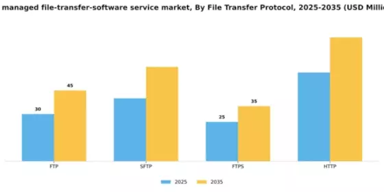 UK Managed File Transfer Software Service Market Segment Image 2