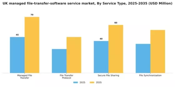 UK Managed File Transfer Software Service Market Segment Image 3