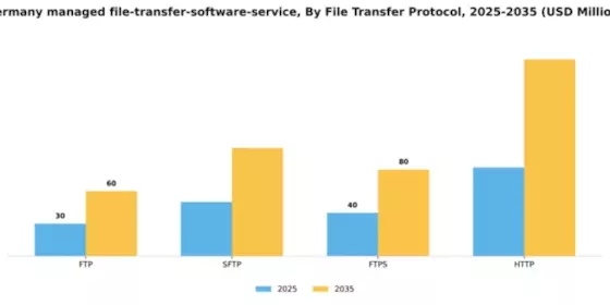 Germany Managed File Transfer Software Service Market Segment Image 2