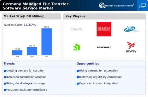 Germany Managed File Transfer Software Service Market Infographic
