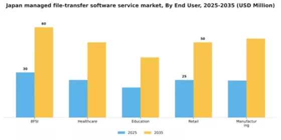Japan Managed File Transfer Software Service Market Segment Image 1