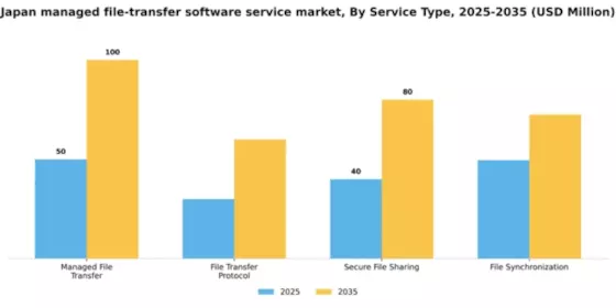 Japan Managed File Transfer Software Service Market Segment Image 3