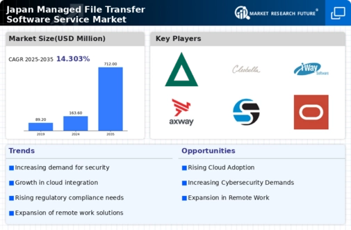 Japan Managed File Transfer Software Service Market Infographic