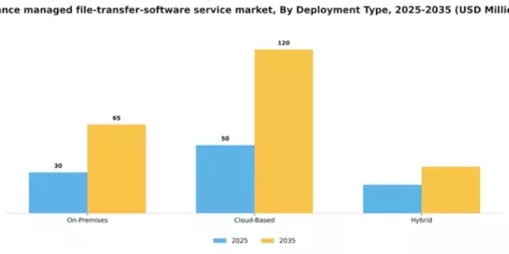 France Managed File Transfer Software Service Market Segment Image 0