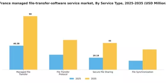France Managed File Transfer Software Service Market Segment Image 3