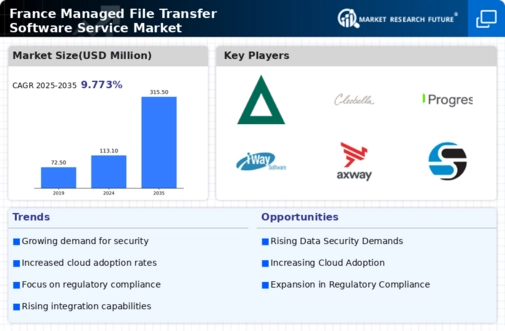 France Managed File Transfer Software Service Market Infographic