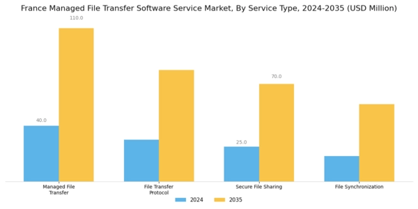 France Managed File Transfer Software Service Market Segment Image 1