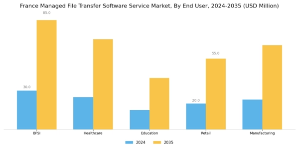 France Managed File Transfer Software Service Market Segment Image 2