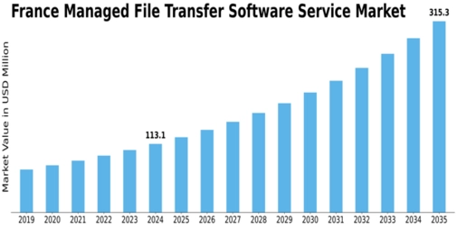 France Managed File Transfer Software Service Market Size
