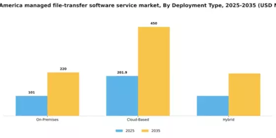 South America Managed File Transfer Software Service Market Segment Image 0