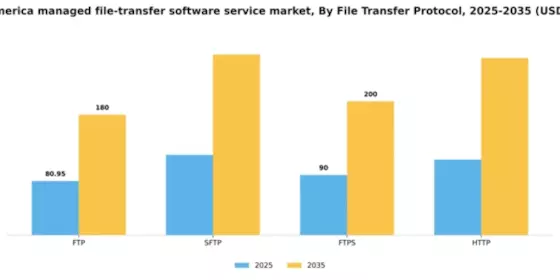 South America Managed File Transfer Software Service Market Segment Image 2