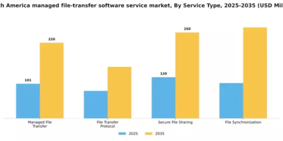 South America Managed File Transfer Software Service Market Segment Image 3