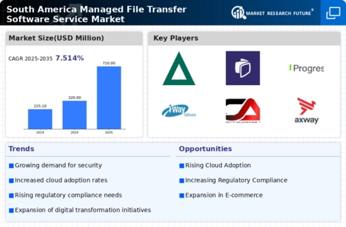 South America Managed File Transfer Software Service Market Infographic