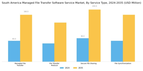 South America Managed File Transfer Software Service Market Segment Image 1