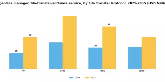 Argentina Managed File Transfer Software Service Market Segment Image 2