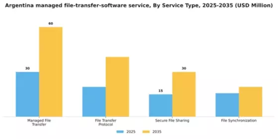 Argentina Managed File Transfer Software Service Market Segment Image 3
