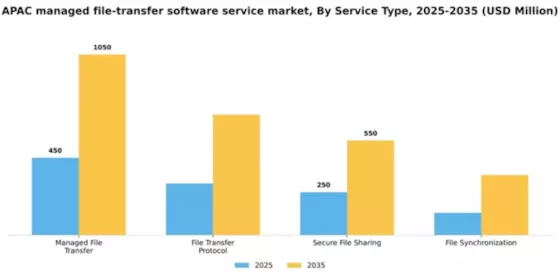 APAC Managed File Transfer Software Service Market Segment Image 3