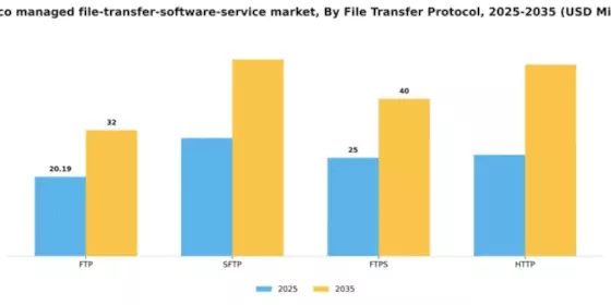 Mexico Managed File Transfer Software Service Market Segment Image 2
