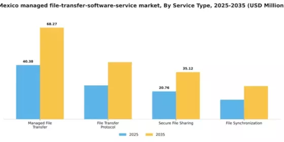 Mexico Managed File Transfer Software Service Market Segment Image 3