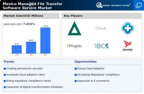 Mexico Managed File Transfer Software Service Market Infographic