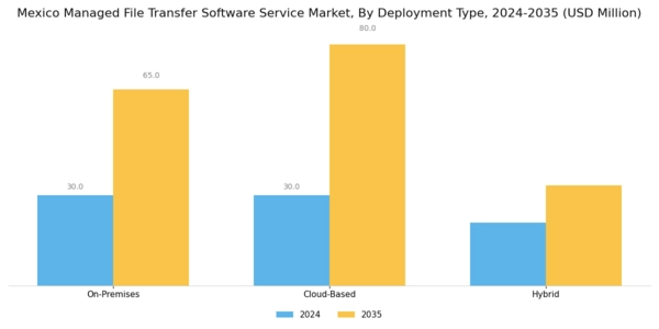 Mexico Managed File Transfer Software Service Market Segment Image 0