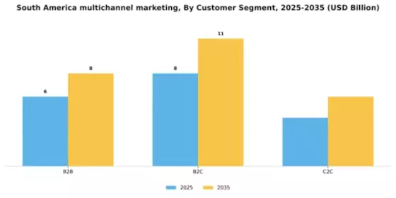 South America Multichannel Marketing Market Segment Image 1