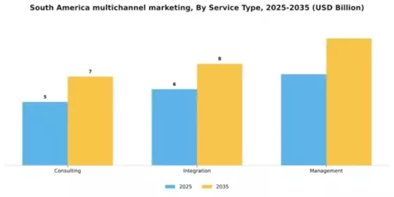 South America Multichannel Marketing Market Segment Image 3
