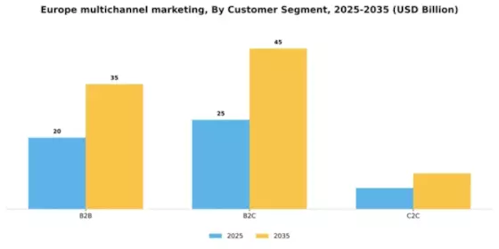 Europe Multichannel Marketing Market Segment Image 1