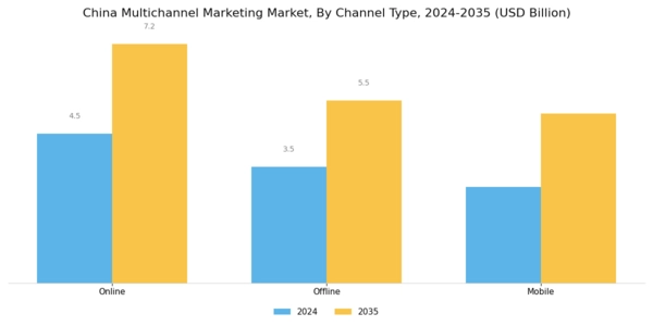 China Multichannel Marketing Market Segment Image 0
